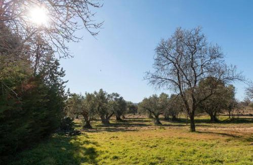 San Martin de Valdeiglesias Villa | Finca el Palomar de la Viña