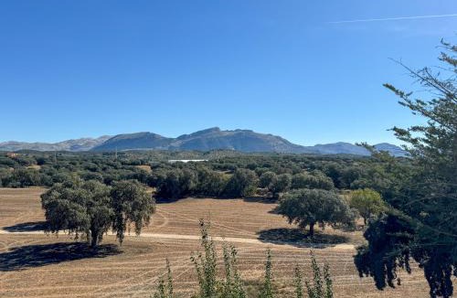 Archidona House | Finca La Lola - Secluded Andalusian Finca for Groups of up to 20 Guests