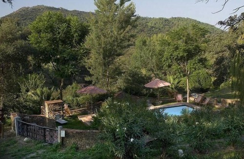 Alajar Other | Finca "La Tortuga" with mountain view