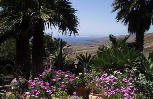 La Asomada House | Holiday home, barbecue, garden and terrace, sea view