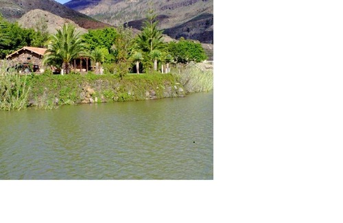 San Bartolome de Tirajana Villa | Homerez - Spacious villa With garden and mountain view