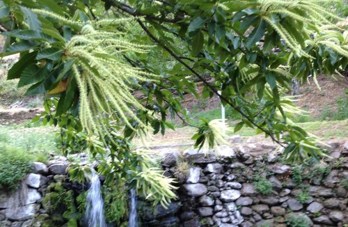 Robledillo de Gata Apartment | Homerez - Nice apartement for 2 ppl. at Robledillo de Gata