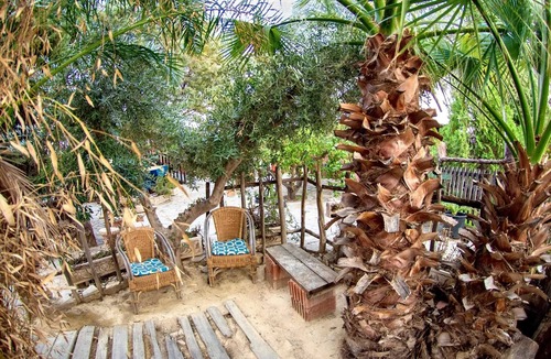 Algaida Villa | Homerez - Villa Archena