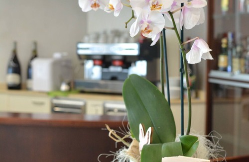 Casal Borsetti Hotel | Hotel Bella Romagna