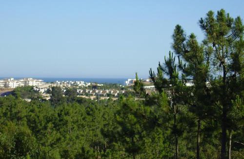 Cartaya Hotel | Hotel San Miguel