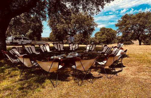 Torrico Hotel | Hotel Valdepalacios Gourmand 5* GL