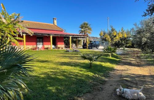 Hornachuelos House | La Buganvilla, descanso entre olivares