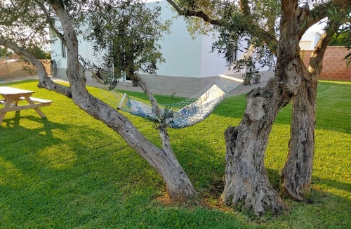 Conil de la Frontera Ski Chalet | La Caleta House. Beautiful garden with olive trees, drive minutes from the beach.
