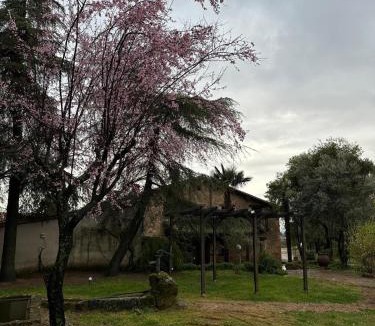 Torremenga House | La Casona De Jaraiz