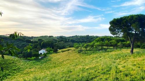 Constantina Villa | La Escribana