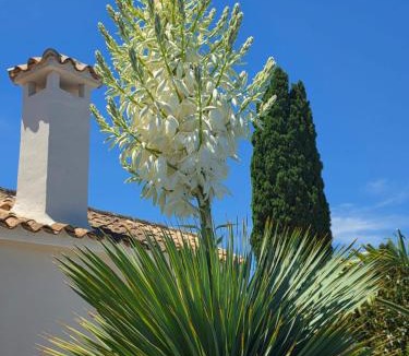 Elche Apartment | La Petite Finca