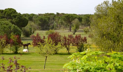Pozal de Gallinas Hotel | La Posada Real del Pinar