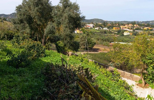 La Concepcion Apartment | LIVE FINCA GAMONAL BJ 5
