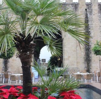 Jewish Quarter Apartment | Loft Turístico en casco histórico, Wifi y TV satélite gratis