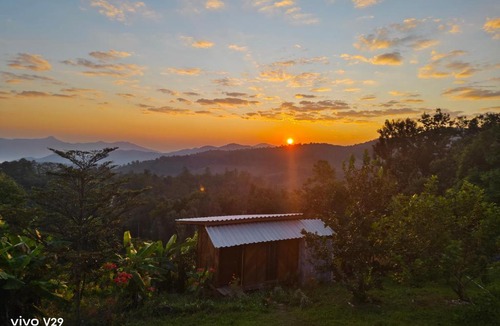 Mae Wang Cabin | Mountain view