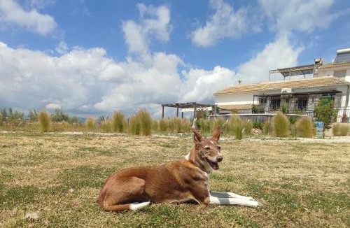 Moclin Apartment | New Leaf Cortijo Apartment ,Moclin