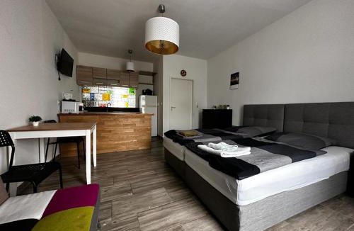 Franzosisch Buchholz Apartment | Nice and comfortable studio in Pankow
