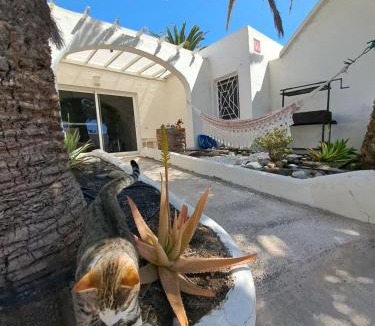 Bahia Calma Apartment | Palm Point