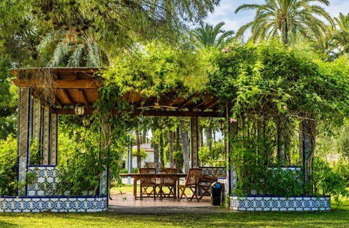 Elche Bed & Breakfast | Pink Lemon House