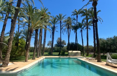 Elche Bed & Breakfast | Pink Lemon House