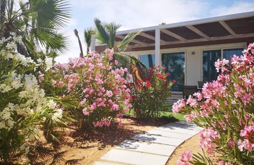 Crevillente House | Prime Location! 3 Family-friendly Cabins with Kitchens, 3 Swimming Pools!