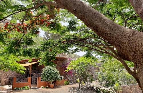Valsequillo de Gran Canaria House | Respira by CanariApartment - Peaceful Nature Retreat