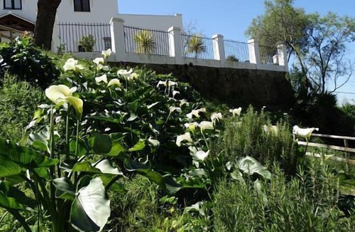 Alcala de los Gazules Cottage | Rural accommodation Hozgarganta, Rural House El Lario