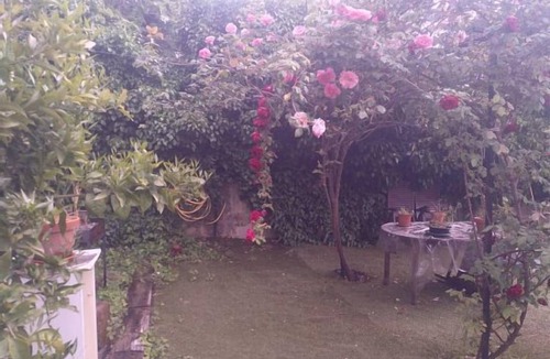 Jarandilla de la Vera Apartment | Rural Apartments La Vera for 2 people