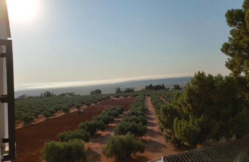 Montilla Cottage | Rural house with pool and paddle tennis court 4 km from Montilla