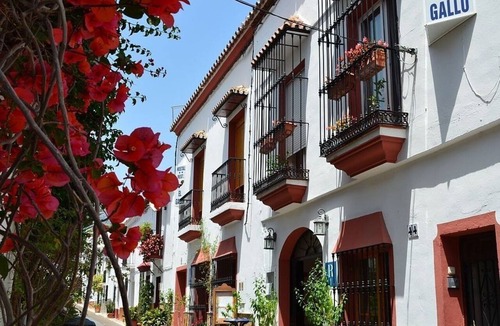 Marbella City Centre Hotel | Single room-Private Bathroom