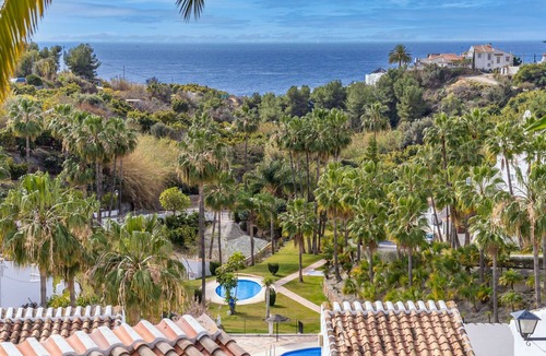 Oasis del Capistrano House | Tetuan 42 - El Oasis de Capistrano!