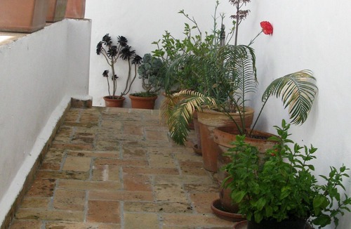 San Ambrosio House | TYPICAL HOUSE WITH TERRACE AND BEAUTIFUL VIEWS OF THE OLD TOWN. VTAR/CA/00548
