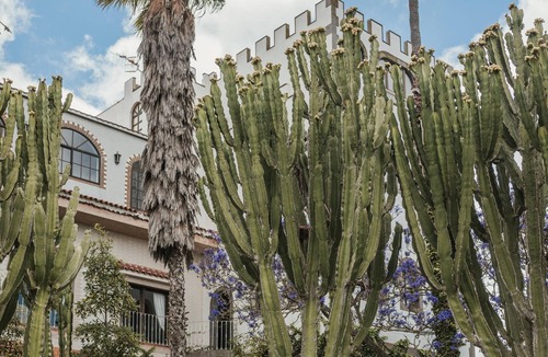 Arucas Apartment | Vacation 'Bastion Del Drago - 8' with Mountain View, Shared Terrace and Wi-Fi