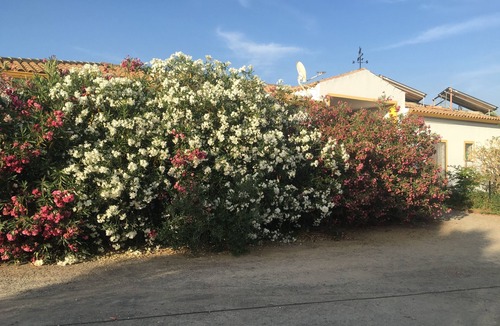 Villamartin House | Villa écologique las gateras