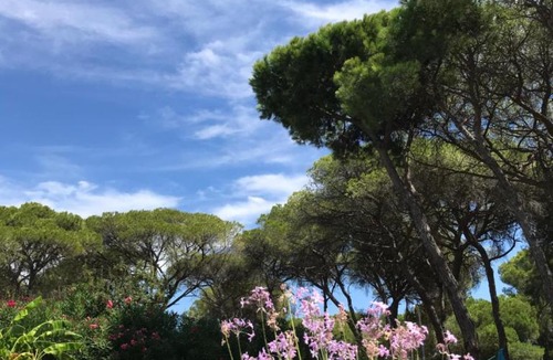 El Portil Bed & Breakfast | VILLA de la LUZ