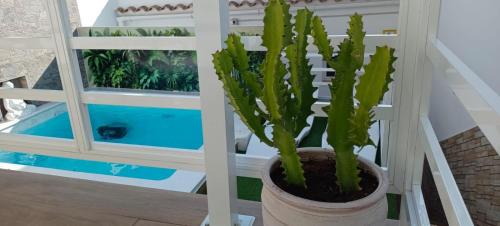 Olvera House | Villa Españolillas