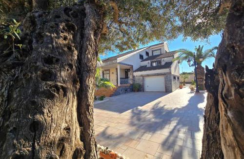 Mil Palmeras Villa | Villa Italia