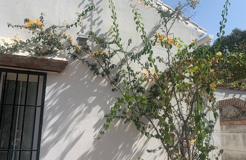 Alcaucin Cottage | Villa La Malcontenta, large private house with green spaces and swimming pool.