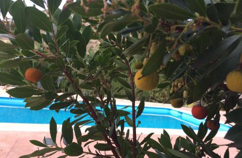 Priego de Cordoba Villa | Villa La Quinta