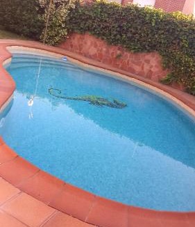 Rivas-Vaciamadrid House | Villa Lendi