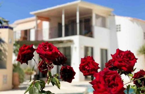 Turre Villa | Villa Los Faramondos Naturehouse