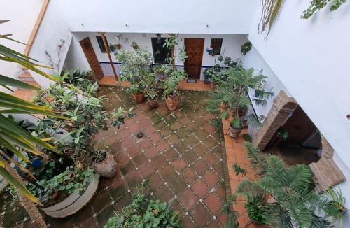 San Basilio Apartment | Vivienda Turística en Típico Patio Cordobés San Basilio