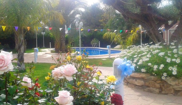 2 bedrooms apartment with shared pool furnished terrace and wifi at Elche 6 km away from the beach