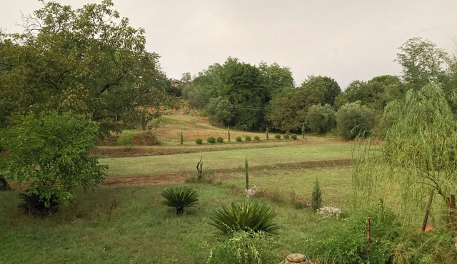 Accommodations in a medieval tower in Lucca, surrounded by the tranquility of nature in Lucca