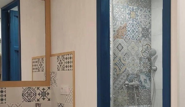 Al-Andalus house 9 min by subway from the center of Seville