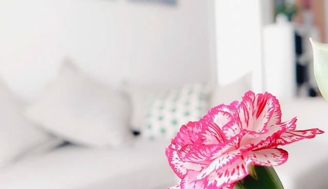 Amelie accommodation with free Wi-Fi