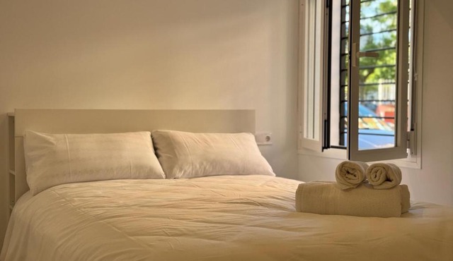 Apartamento Reina Centro Suite