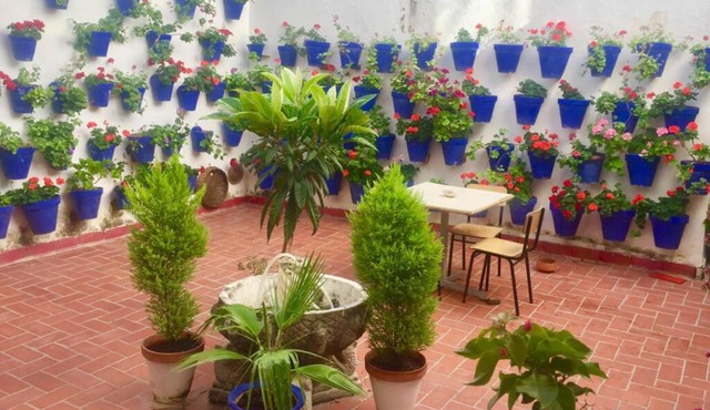 Apartamento Toril-Casco Histórico