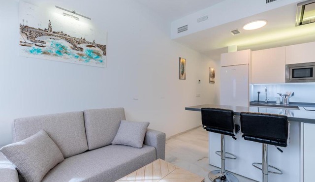 APARTAMENTOS FIBES GARDEN SEVILLA