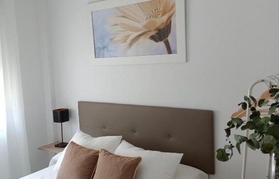 APARTAMENTOS MATUTE
